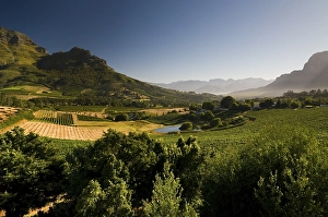 Framed Print : Landscape, vineyards, Stellenbosch area Framed Print : Landscape, vineyards, Stellenbosch area