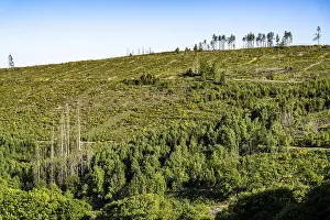 Landscape west of Hallenberg, in the Hochsauerland district