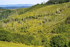 Landscape west of Hallenberg, in the Hochsauerland district