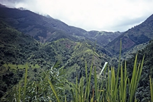 Landscape with wooded hills and deep valleys, the Blue Mountains, Jamaica, West Indies 1970, Central America