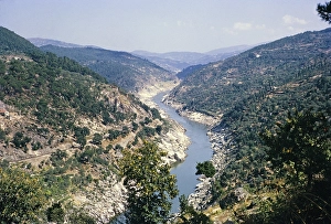 Landschaft des Douro-Tals mit bewaldeten Haengen, Portugal um 1960 - Standort nicht bekannt