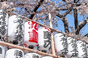 Category Buddhism Prints: Lanterns with Japanese characters