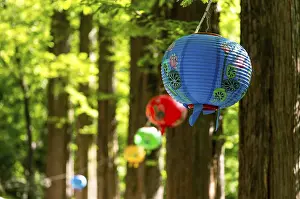 Lanterns lining up a hiking trail during buddha's birthday