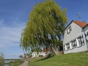 A large house with half-timbered windows and a large pasture on a sunny summer morning