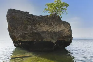 A large rock on the shore on a sunny day in Padang Padang Beach