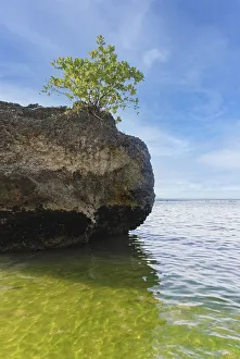 A large rock on the shore on a sunny day in Padang Padang Beach