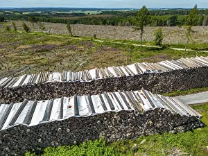 Large tree stacks, Cleared forest in the Eggegebirge