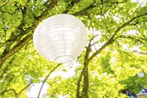 Large white lantern hanging from a tree in the sunny garden