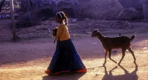 Lass taking along goat and lamb at Kokkarebellur