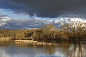Late autumn on the Mulde River near Dessau