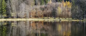 Framed Print : Late autumn, water reflection in moor pond Framed Print : Late autumn, water reflection in moor pond