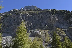 Latemar, Dolomites, South Tyrol, Italy