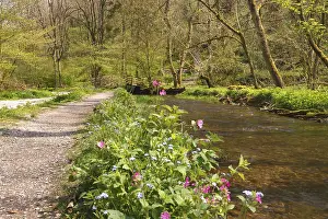 Lathkill Dale, Peak District National Park