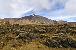 Lava landscape in Teide National Park