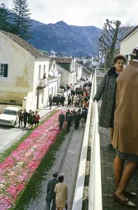 Laying out plants and flowers for a religious street procession, Furnas, Sao Miguel Island, Azores, Portugal, April 1964, Europe