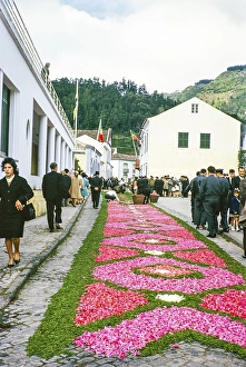 Laying out plants and flowers street religious procession, Procissao de Senhor de Infernos, Furnas, Sao Miguel Island, Azores, Portugal, April 1964, Europe