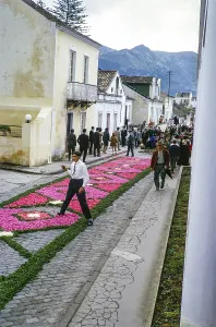 Laying out plants and flowers street religious procession, Procissao de Senhor de Infernos, Furnas, Sao Miguel Island, Azores, Portugal, April 1964, Europe