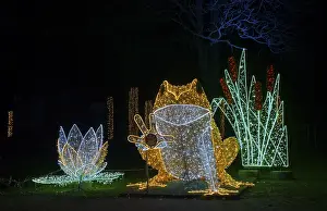 Le Frog, glowing frog, world of lights