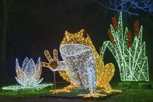 Le Frog, luminous frog, world of lights