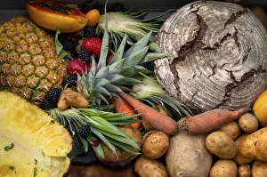 Leftover food, food scraps, food leftovers