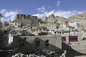 Leh Palace, view from the historic town
