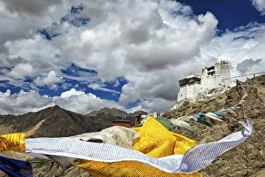 Leh Tsemo fort and gompa and lungta (prayer flags) flying in the wind