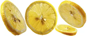 Lemon slices on a white background, isolate