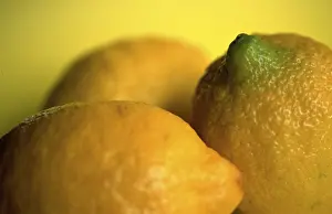 Lemons (Citrus limon)