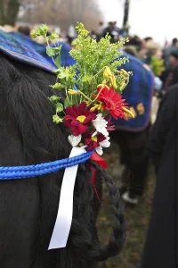 Leonhardi parade in Bad Toelz - Upper Bavaria