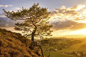 The Leopoldsnase viewpoint is a lookout point near Rathen