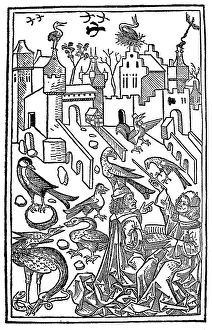 Lessons in ornithology, from Hortus Sanitatis