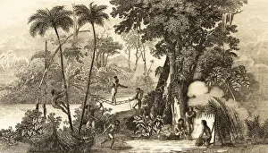 Liana bridge in the tropics, jungle