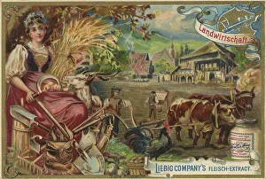 Liebig picture series Economics