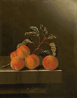 Still Life with Five Apricots, painting by Adriaen Coorte (1683-1707)