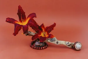 Still life of fresh red lily flowers