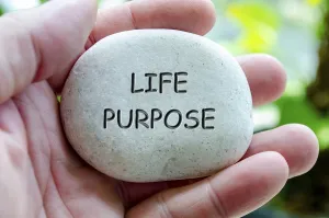 Life Purpose text engraved on white stone