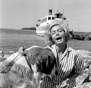 Life on Seacrow island. (Swedish: Vi pa Saltkrakan)