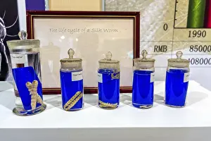 Lifecycle of silk worm and larva that produce silk cocoons for commercial silk