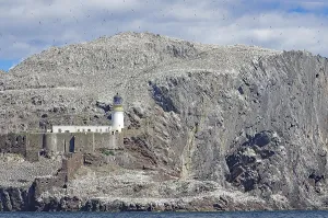 Lighthouse and cliffs, rocks, sky with countless birds