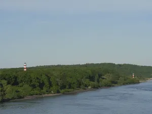A lighthouse at the edge of a forest