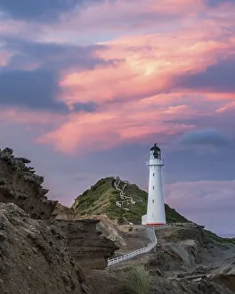 Lighthouse in the evening light under a pink cloudy sky on the cliffs at Castlepoint