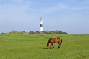 Lighthouse, horse, Kampen, Sylt island