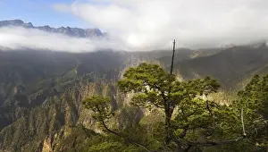 Like all Canary Islands, La Palma is of volcanic origin