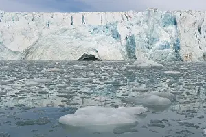 Lilliehook glacier with glacier snout