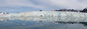 Category Scandinavia Prints: Lilliehook glacier, Lilliehook fjord