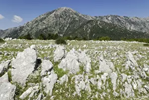 Category Mountain Landscapes Prints: Limestone and karst in Llogara