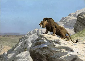 Lion keeping watch on a rock, after a painting by Jean-Leon Gerome
