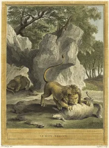 The Lion Has Torn a Sheep, 1759