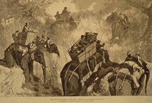 Lithographs The Prince of Wales in Terai crossing Nullah in Jungle, India, Asia