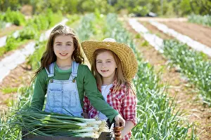 Litte kid farmer girls in onion harvest at orchard